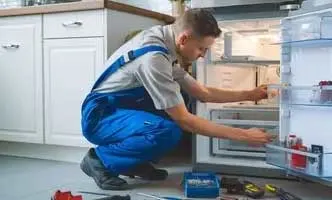 LG fridge repair services