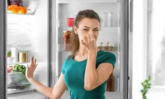 Door gasket / rubber damage and door not closing properly