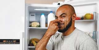 Bad odor from refrigerator