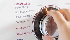 Steam wash function maintenance